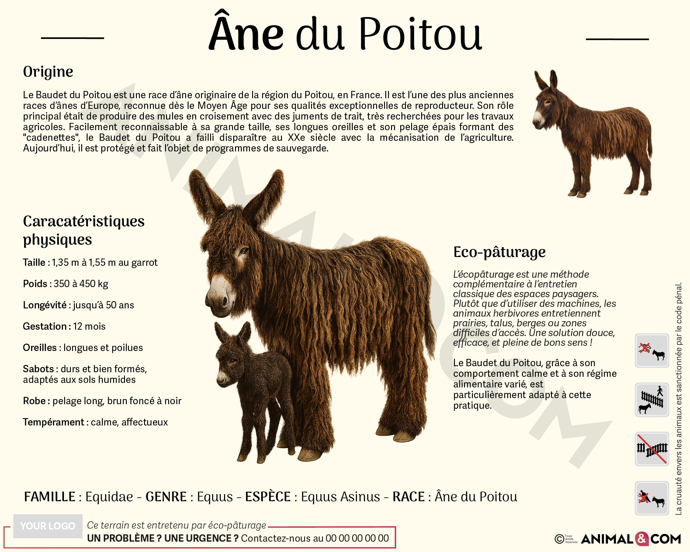 Panneau pédagogique âne du poitou