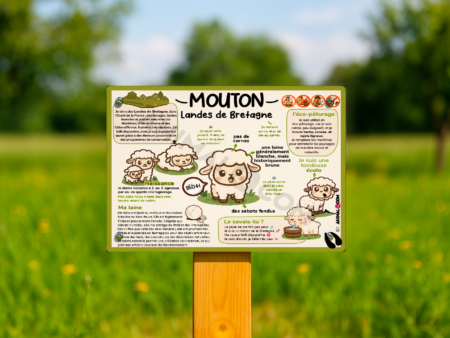 visuel d'un panneau pédagogique ludique sur le mouton Landes de Bretagne