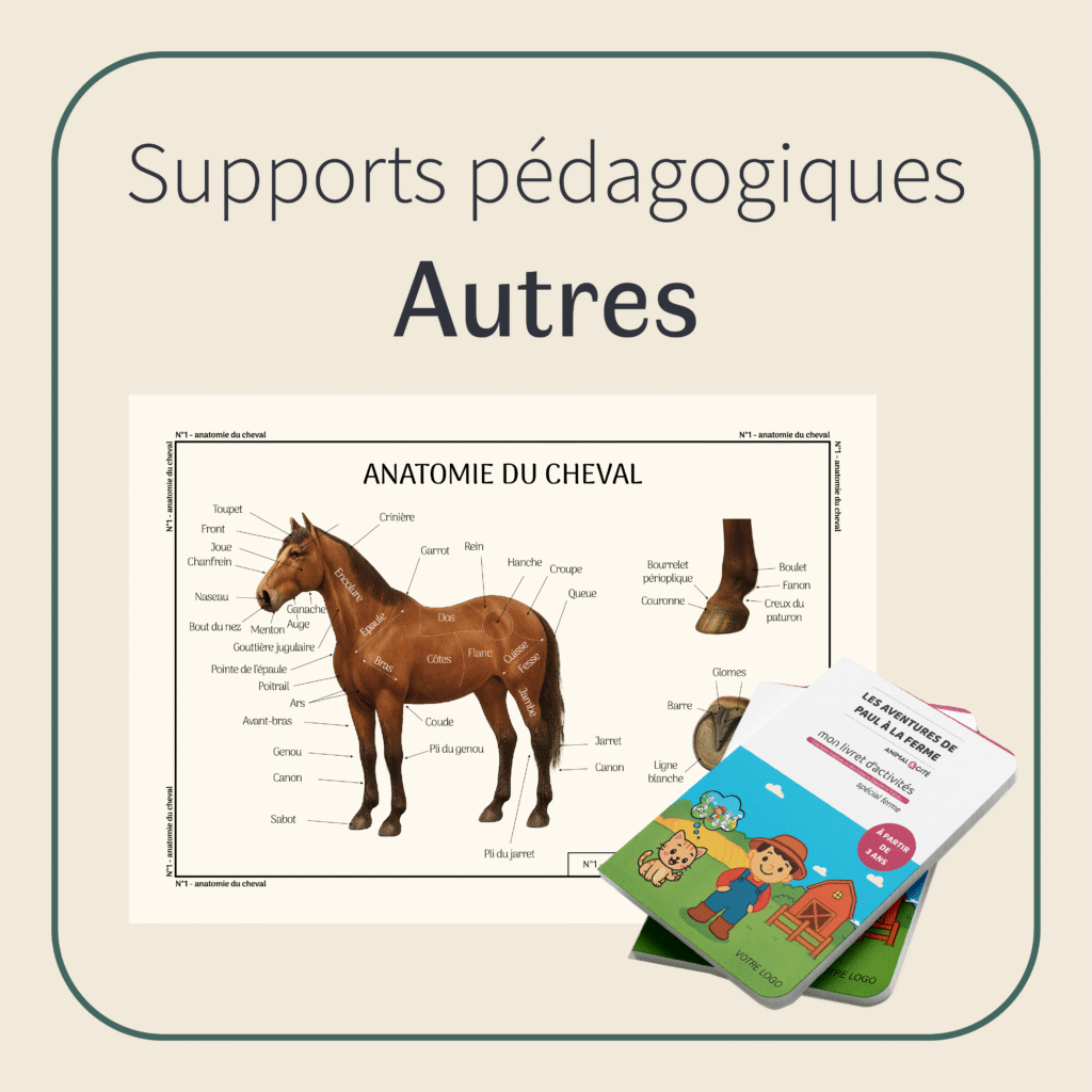visuel catégorie autres