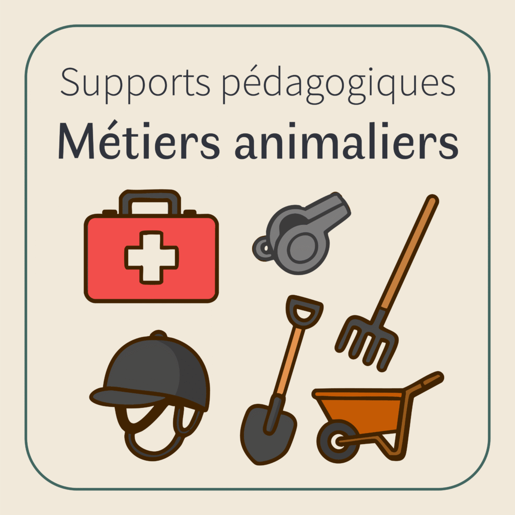 visuel catégorie métiers