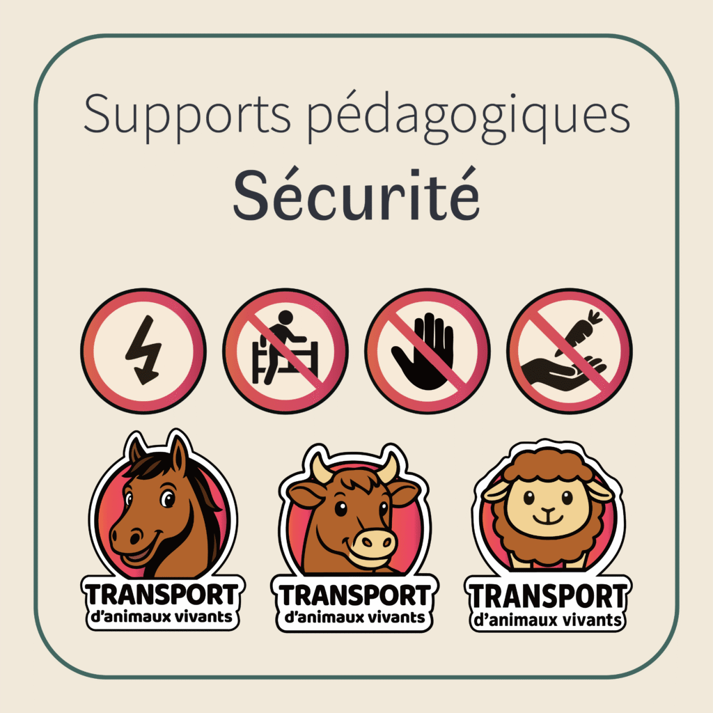 visuel catégorie sécurité