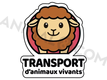 sticker transport d'animaux mouton