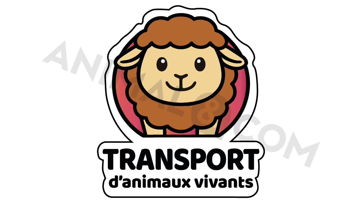 sticker transport d'animaux mouton