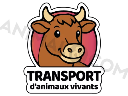 sticker transport d'animaux vache