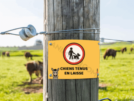 visuel d'un panneau signalétique chien en laisse avec un âne