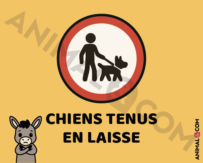 Signalétique chiens en laisse - âne