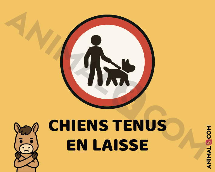 Signalétique chiens en laisse - cheval