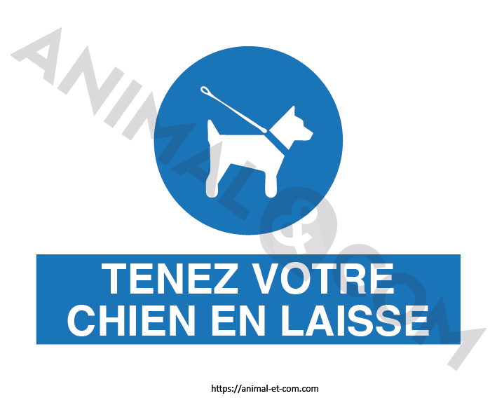 Signalétique Chiens en laisse