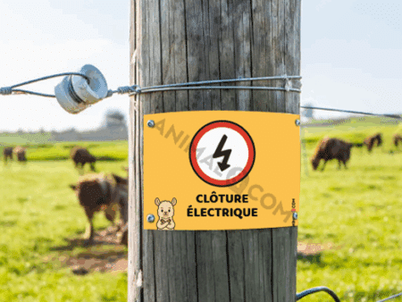 visuel d'un panneau signalétique clôture électrifiée avec un alpaga
