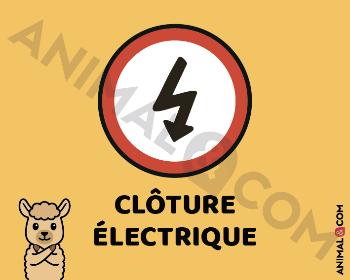 Signalétique Clôture électrique - alpaga