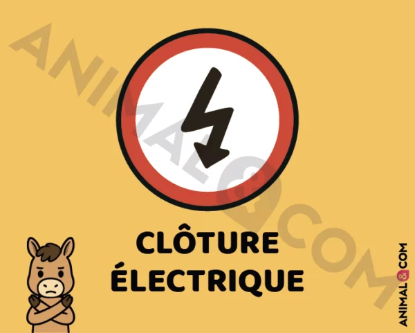 Signalétique Clôture électrique - cheval