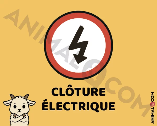 Signalétique Clôture électrique - chèvre