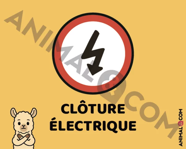 Signalétique Clôture électrique - lama