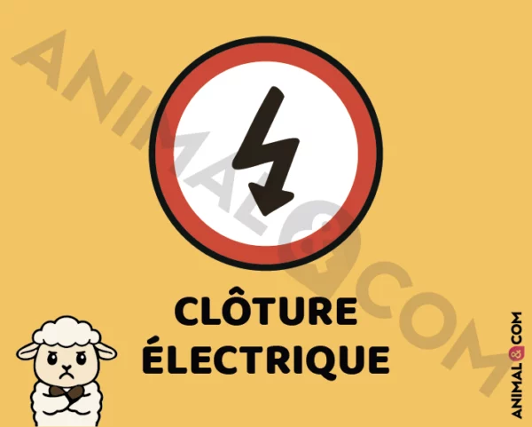 Signalétique Clôture électrique - mouton