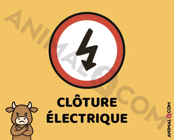 Signalétique Clôture électrique - vache