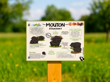 Panneau pédagogique - Mouton d'Ouessant