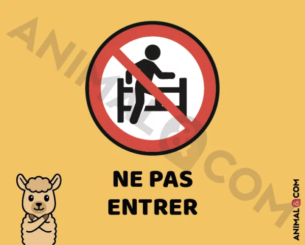 Signalétique Ne pas entrer - alpaga
