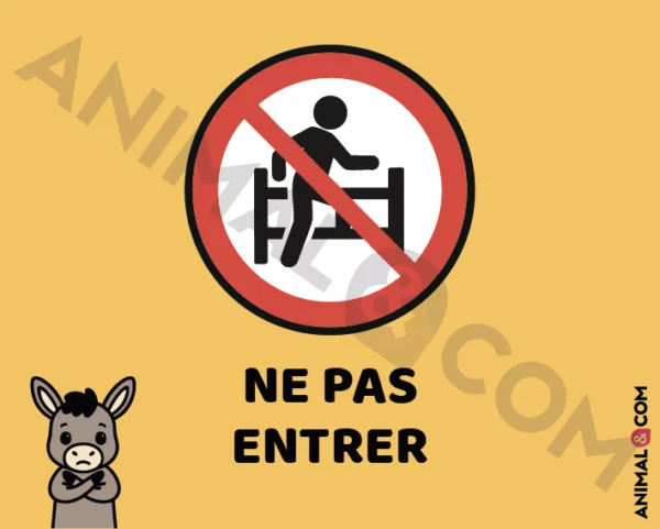 Signalétique Ne pas entrer - âne