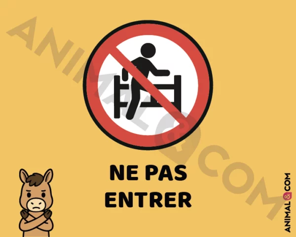 Signalétique Ne pas entrer - cheval