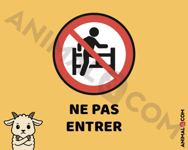 Signalétique Ne pas entrer - chèvre