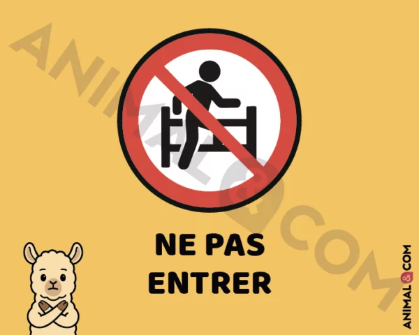Signalétique Ne pas entrer - lama