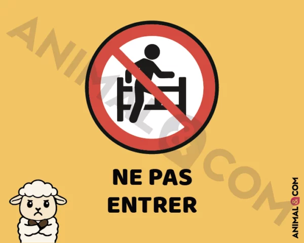 Signalétique Ne pas entrer - mouton