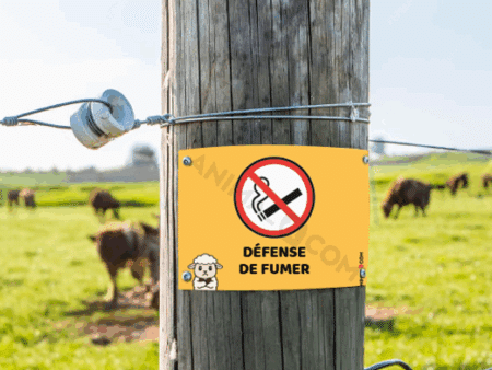 visuel d'un panneau signalétique ne pas fumer avec un mouton