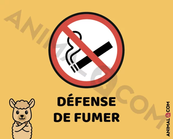 Signalétique Ne pas fumer - alpaga