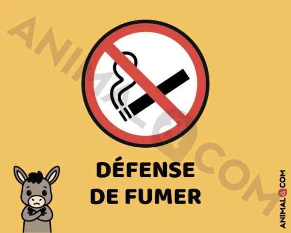 Signalétique Ne pas fumer - âne