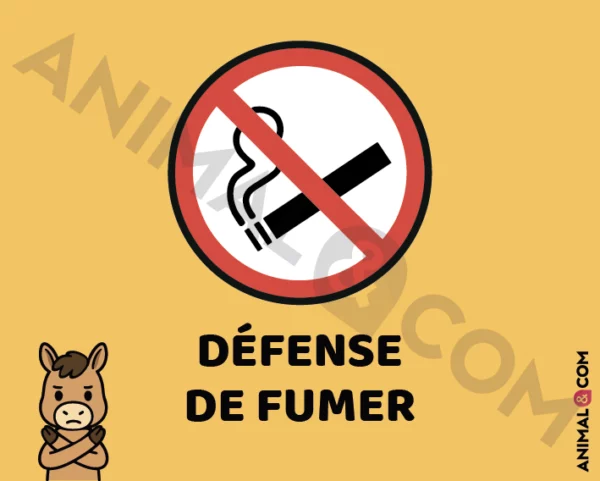 Signalétique Ne pas fumer - cheval