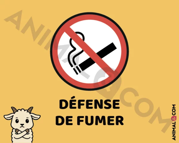 Signalétique Ne pas fumer - cheval