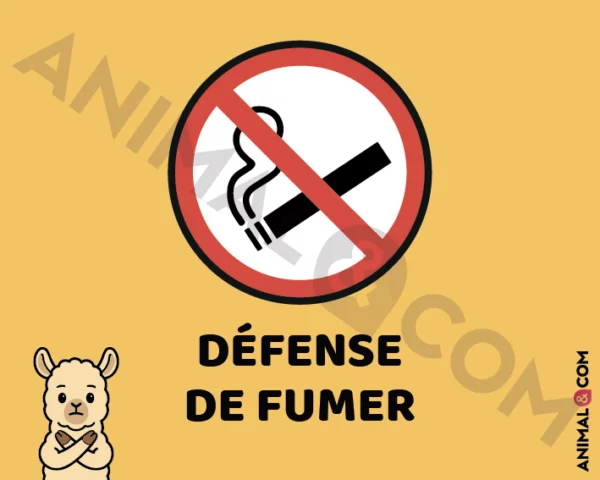 Signalétique Ne pas fumer - lama