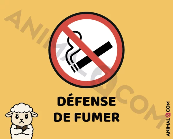 Signalétique Ne pas fumer - mouton