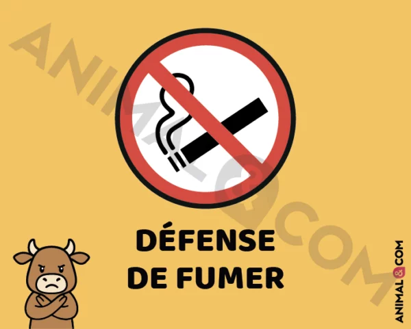 Signalétique Ne pas fumer - vache