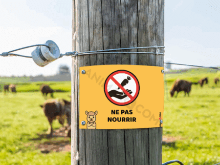 visuel d'un panneau signalétique ne pas nourrir avec un lama