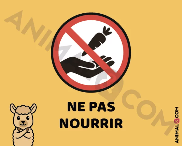 Signalétique Ne pas nourrir - alpaga