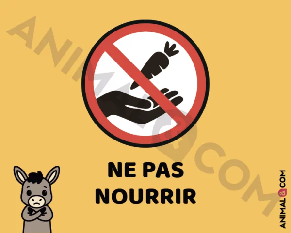 Signalétique Ne pas nourrir - âne