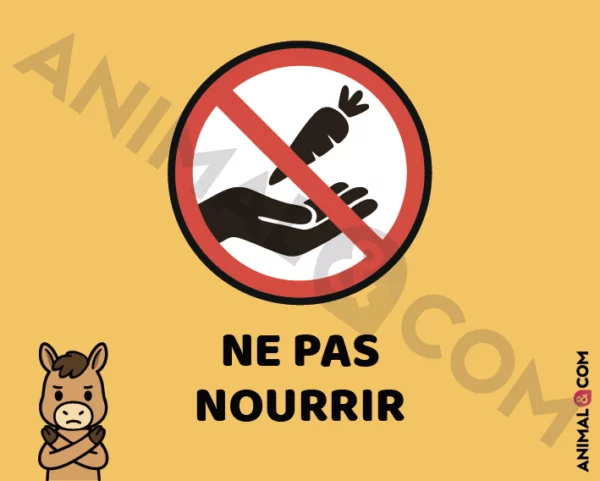 Signalétique Ne pas nourrir - cheval