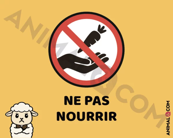 Signalétique Ne pas nourrir - mouton