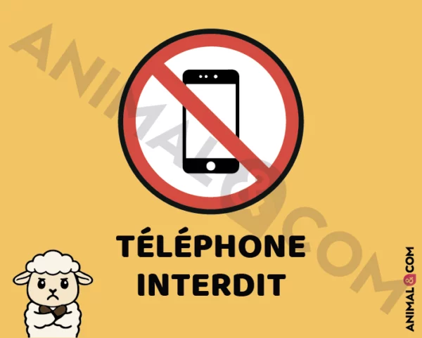 Signalétique Ne pas téléphoner - mouton