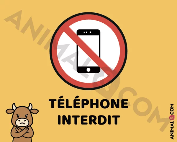 Signalétique Ne pas téléphoner - vache