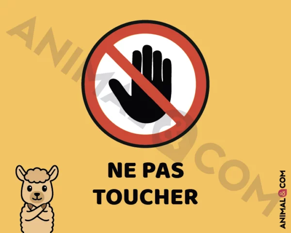 Signalétique Ne pas toucher - alpaga