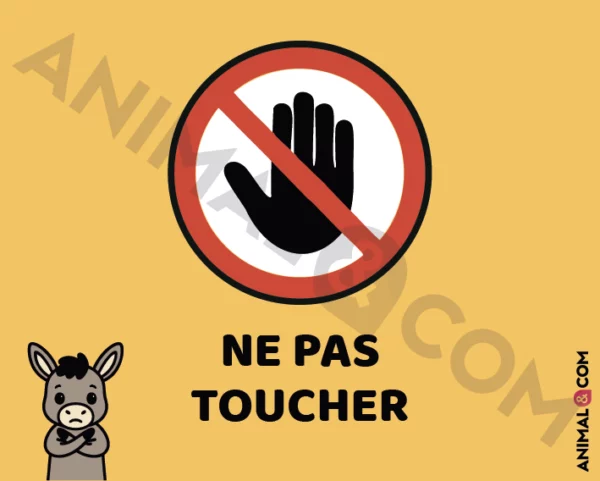Signalétique Ne pas toucher - âne