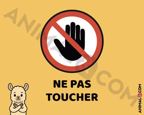 Signalétique Ne pas toucher - lama