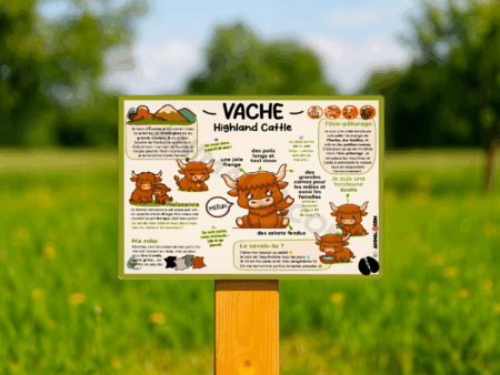 visuel d'un panneau pédagogique ludique sur la vache highland cattle