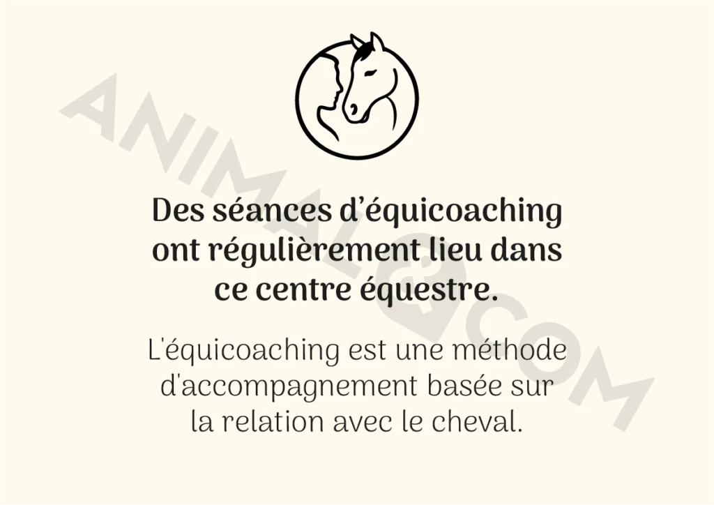 Poster équicoaching