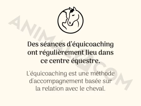 Poster équicoaching