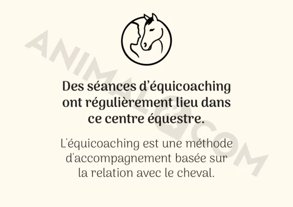 Poster équicoaching