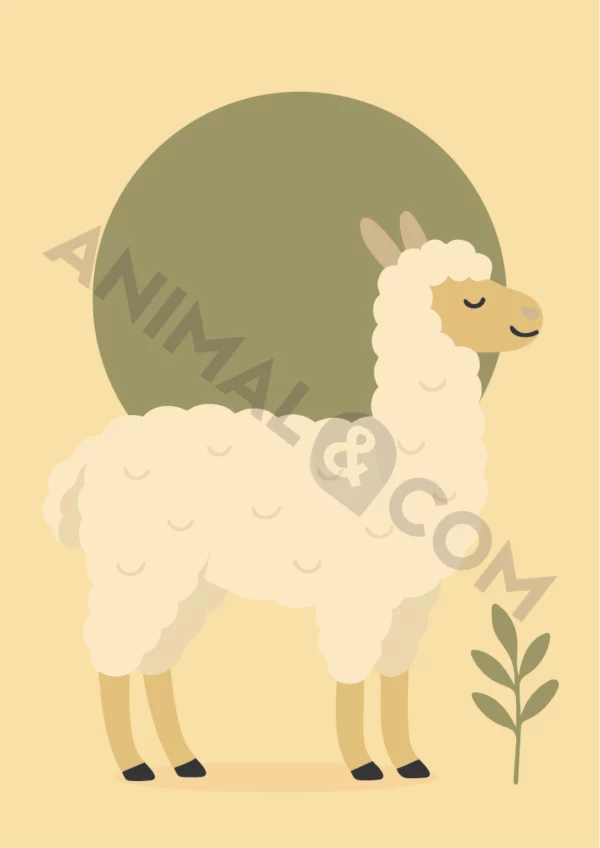 poster éco-responsable - alpaga