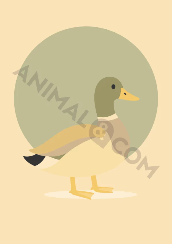 poster éco-responsable - canard